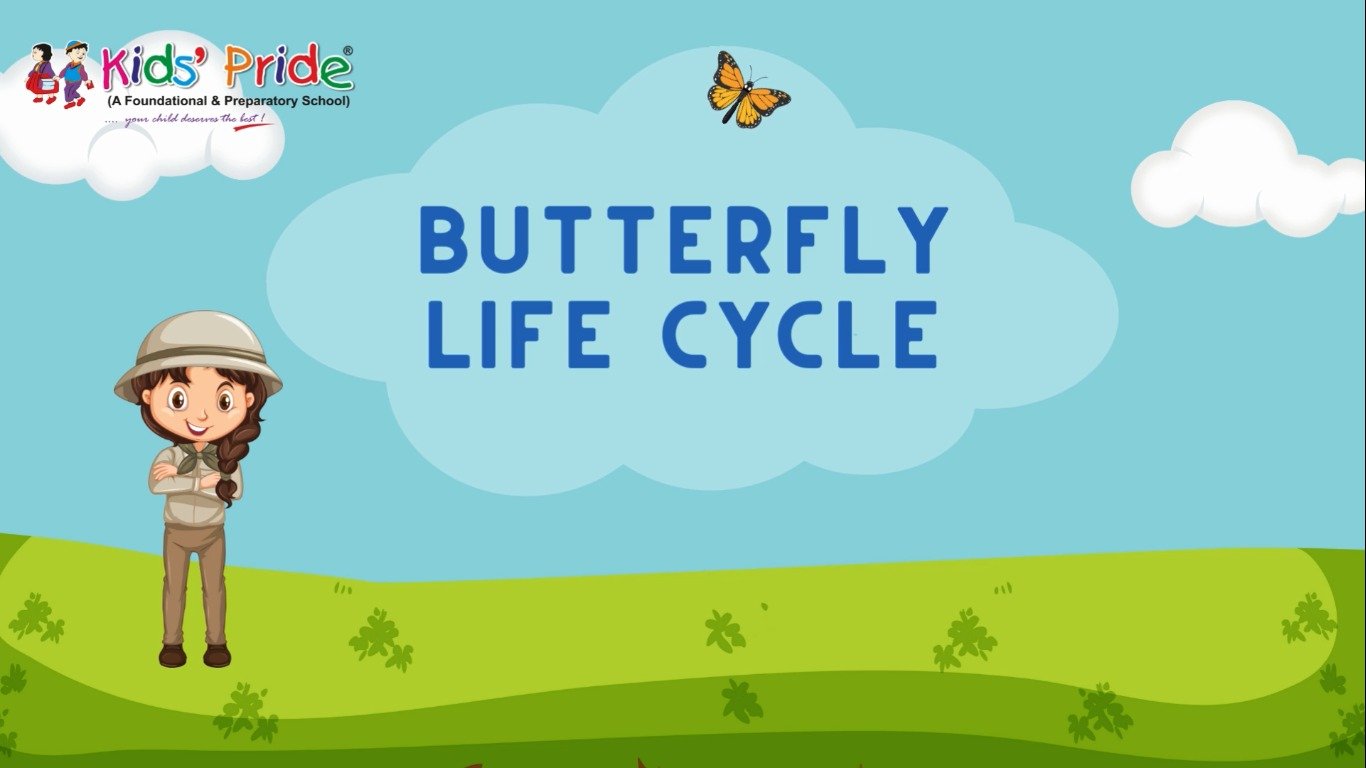 Tiny Eggs to Colorful Wings: An Amazing Butterfly Life Cycle for Kids!